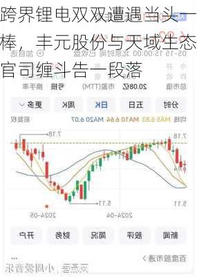 跨界锂电双双遭遇当头一棒，丰元股份与天域生态官司缠斗告一段落