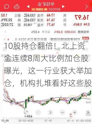 10股持仓翻倍！北上资金连续8周大比例加仓股曝光，这一行业获大举加仓，机构扎堆看好这些股