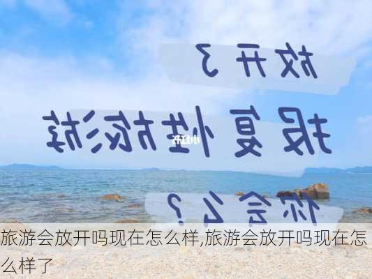 旅游会放开吗现在怎么样,旅游会放开吗现在怎么样了