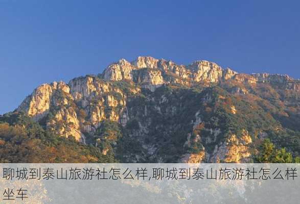 聊城到泰山旅游社怎么样,聊城到泰山旅游社怎么样坐车