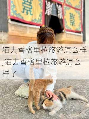 猫去香格里拉旅游怎么样,猫去香格里拉旅游怎么样了