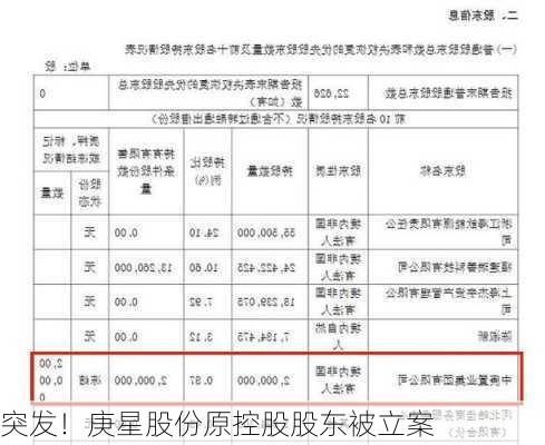 突发！庚星股份原控股股东被立案