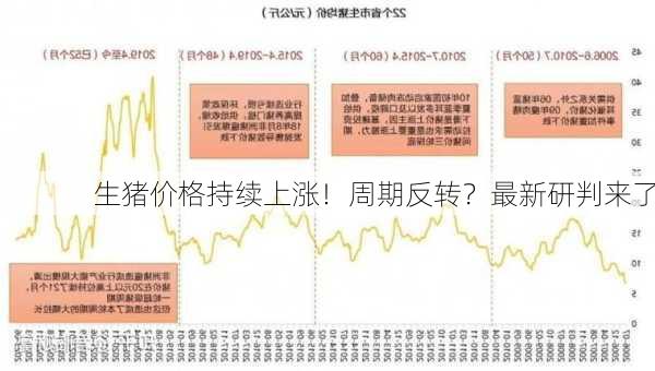 生猪价格持续上涨！周期反转？最新研判来了