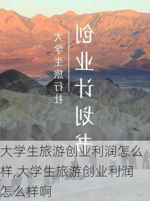 大学生旅游创业利润怎么样,大学生旅游创业利润怎么样啊