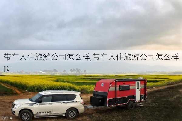 带车入住旅游公司怎么样,带车入住旅游公司怎么样啊