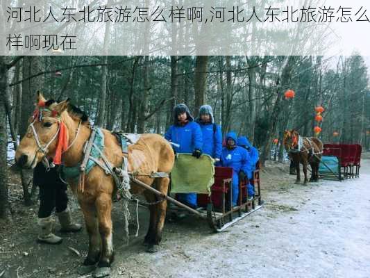 河北人东北旅游怎么样啊,河北人东北旅游怎么样啊现在