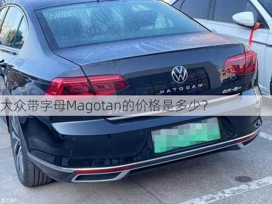 大众带字母Magotan的价格是多少？