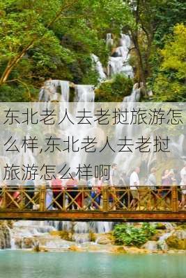 东北老人去老挝旅游怎么样,东北老人去老挝旅游怎么样啊