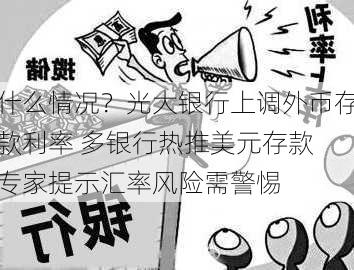 什么情况？光大银行上调外币存款利率 多银行热推美元存款 专家提示汇率风险需警惕