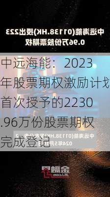 中远海能：2023年股票期权激励计划首次授予的2230.96万份股票期权完成登记