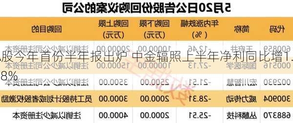 A股今年首份半年报出炉 中金辐照上半年净利同比增1.08%