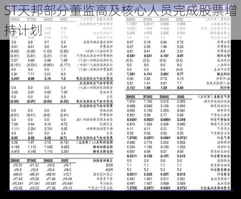 ST天邦部分董监高及核心人员完成股票增持计划