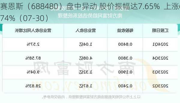 赛恩斯（688480）盘中异动 股价振幅达7.65%  上涨6.74%（07-30）