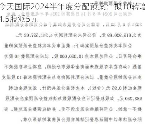 今天国际2024半年度分配预案：拟10转增4.5股派5元