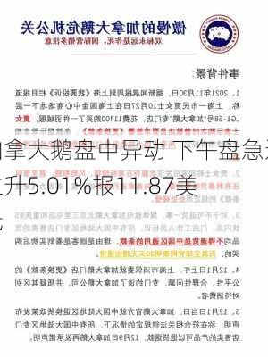 加拿大鹅盘中异动 下午盘急速拉升5.01%报11.87美元