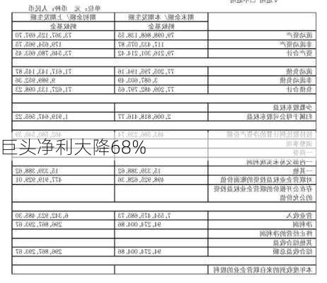 巨头净利大降68%