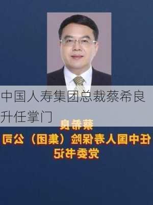 中国人寿集团总裁蔡希良升任掌门