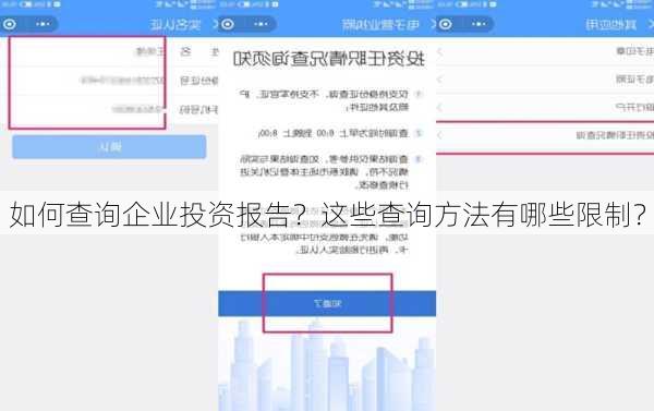 如何查询企业投资报告？这些查询方法有哪些限制？