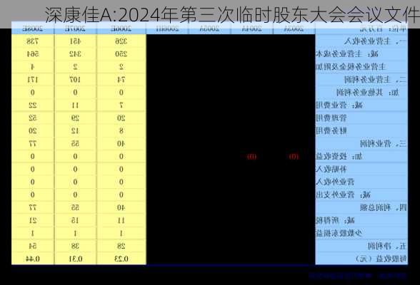 深康佳A:2024年第三次临时股东大会会议文件