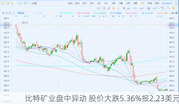 比特矿业盘中异动 股价大跌5.36%报2.23美元