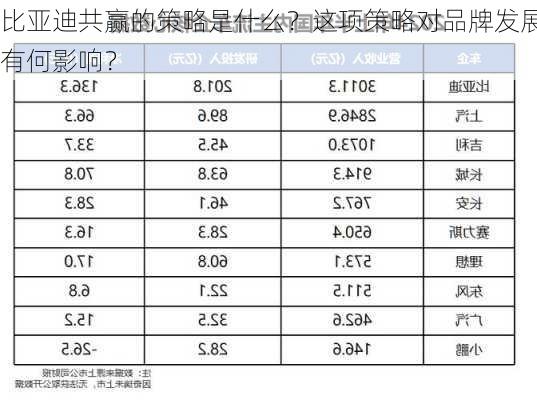 比亚迪共赢的策略是什么？这项策略对品牌发展有何影响？