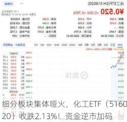 细分板块集体哑火，化工ETF（516020）收跌2.13%！资金逆市加码