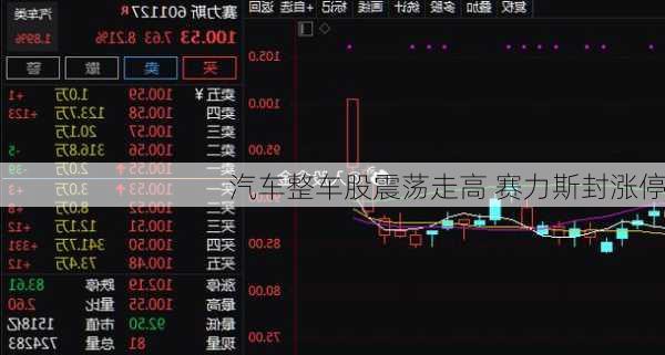 汽车整车股震荡走高 赛力斯封涨停