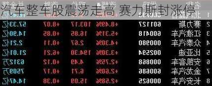 汽车整车股震荡走高 赛力斯封涨停