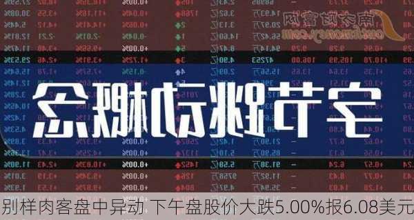 别样肉客盘中异动 下午盘股价大跌5.00%报6.08美元