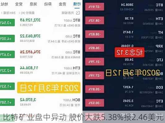比特矿业盘中异动 股价大跌5.38%报2.46美元