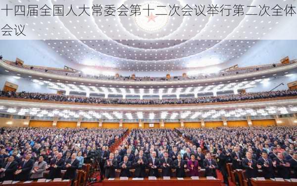 十四届全国人大常委会第十二次会议举行第二次全体会议