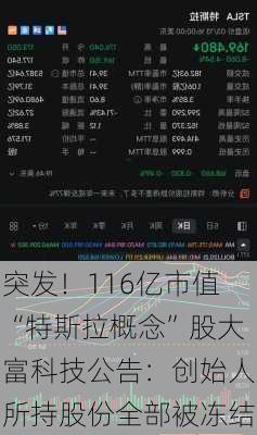 突发！116亿市值“特斯拉概念”股大富科技公告：创始人所持股份全部被冻结