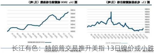 长江有色：特朗普交易推升美指 13日镍价或小跌