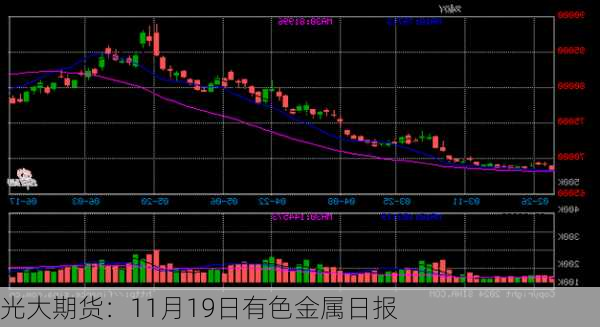 光大期货：11月19日有色金属日报