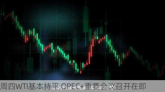 周四WTI基本持平 OPEC+重要会议召开在即