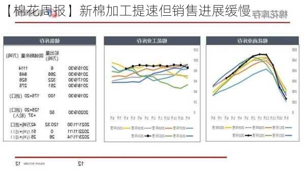 【棉花周报】新棉加工提速但销售进展缓慢