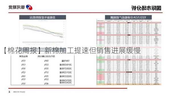 【棉花周报】新棉加工提速但销售进展缓慢