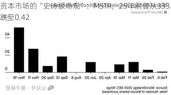 资本市场的“史诗级奇观”：MSTR，25年前曾从333暴跌至0.42