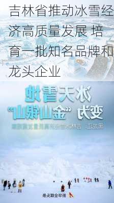 吉林省推动冰雪经济高质量发展 培育一批知名品牌和龙头企业