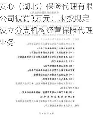 安心（湖北）保险代理有限公司被罚3万元：未按规定设立分支机构经营保险代理业务