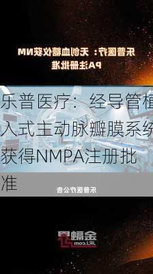 乐普医疗：经导管植入式主动脉瓣膜系统获得NMPA注册批准