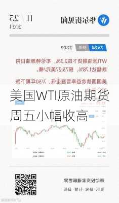 美国WTI原油期货周五小幅收高