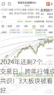 2024年还剩7个交易日，跨年行情成共识！3大板块被看好