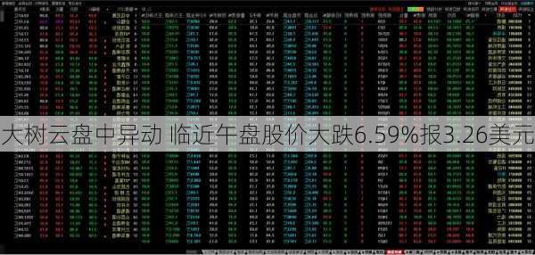 大树云盘中异动 临近午盘股价大跌6.59%报3.26美元