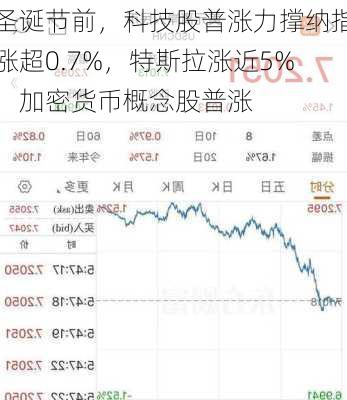 圣诞节前，科技股普涨力撑纳指涨超0.7%，特斯拉涨近5%，加密货币概念股普涨