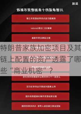 特朗普家族加密项目及其链上配置的资产透露了哪些“商业机密”？