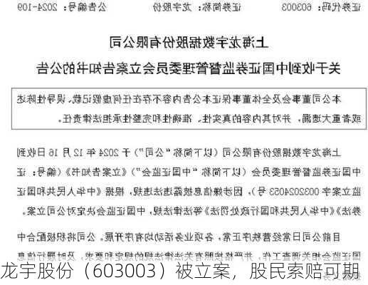 龙宇股份（603003）被立案，股民索赔可期