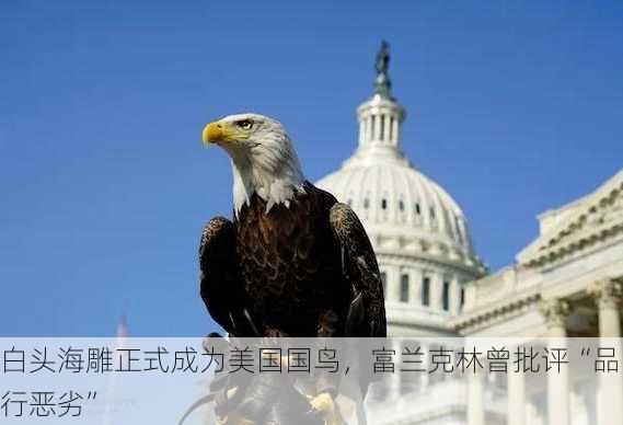 白头海雕正式成为美国国鸟，富兰克林曾批评“品行恶劣”