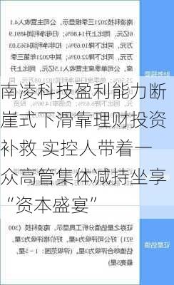 南凌科技盈利能力断崖式下滑靠理财投资补救 实控人带着一众高管集体减持坐享“资本盛宴”