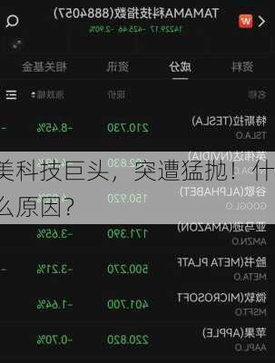美科技巨头，突遭猛抛！什么原因？